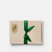 Carta da lettere - Cipresso<br>Collezione Botanica