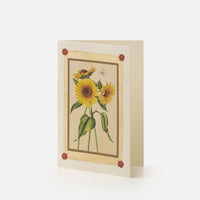 Double card/Participation - Sunflowers
