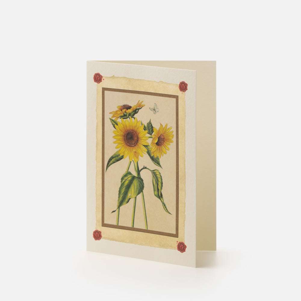 Double card/Participation - Sunflowers