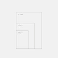 Notebook with lined pages<br> Softcover - Cottonpaper Pavoni Collection