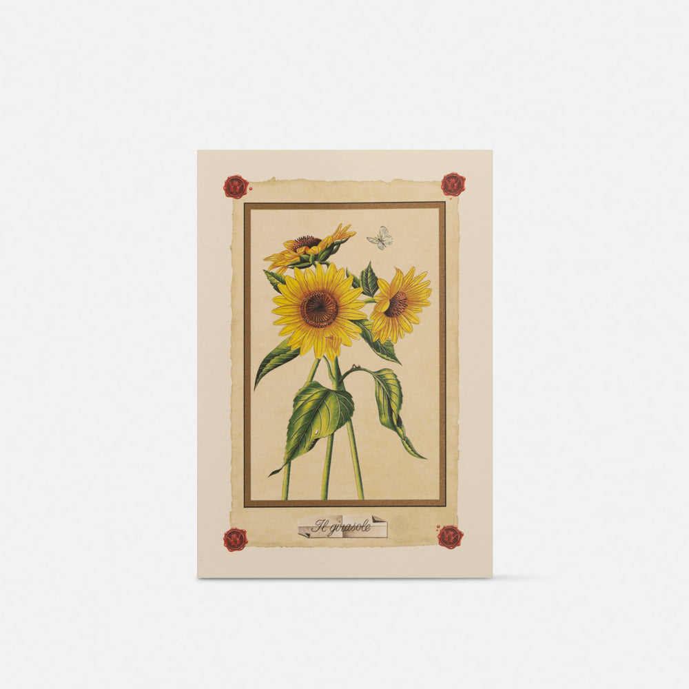 Double card/Participation - Sunflowers