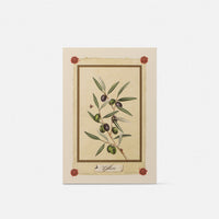 Double card/Participation - Olive tree